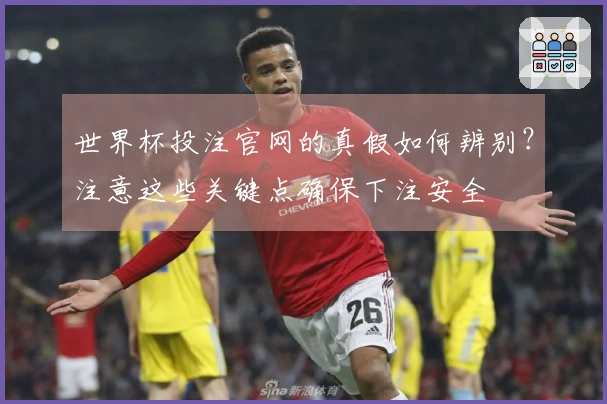 世界杯投注官网的真假如何辨别？注意这些关键点确保下注安全