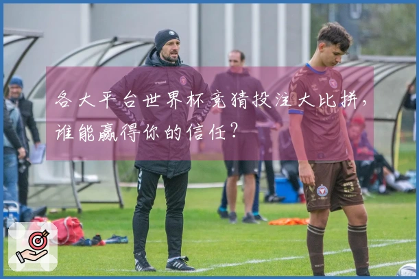 各大平台世界杯竞猜投注大比拼，谁能赢得你的信任？