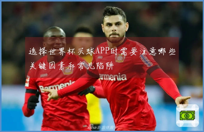 选择世界杯买球APP时需要注意哪些关键因素和常见陷阱