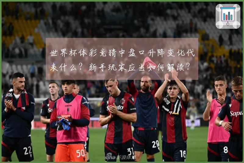 世界杯体彩竞猜中盘口升降变化代表什么？新手玩家应当如何解读？