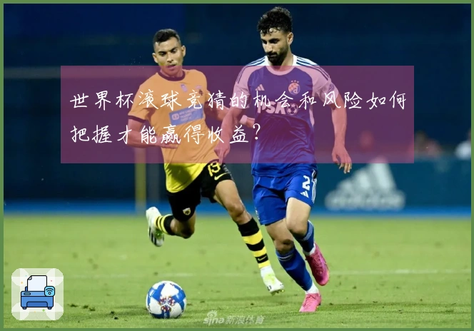 世界杯滚球竞猜的机会和风险如何把握才能赢得收益？