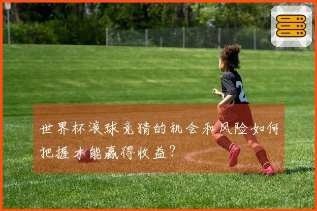 世界杯滚球竞猜的机会和风险如何把握才能赢得收益？