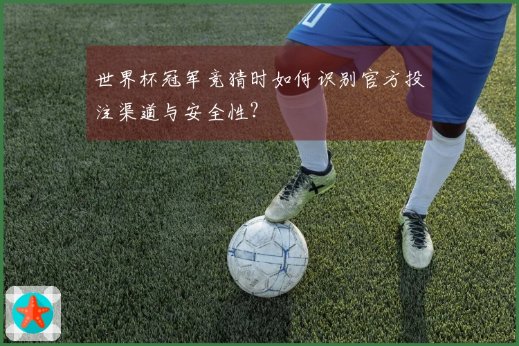 世界杯冠军竞猜时如何识别官方投注渠道与安全性？