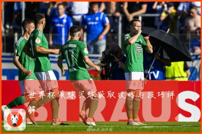 世界杯滚球买球获取攻略与技巧详解