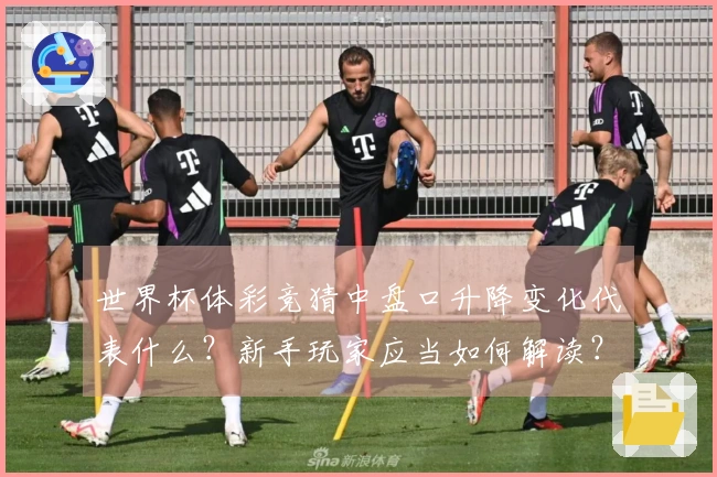 世界杯体彩竞猜中盘口升降变化代表什么？新手玩家应当如何解读？