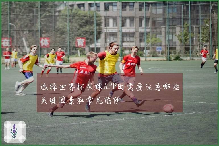 选择世界杯买球APP时需要注意哪些关键因素和常见陷阱