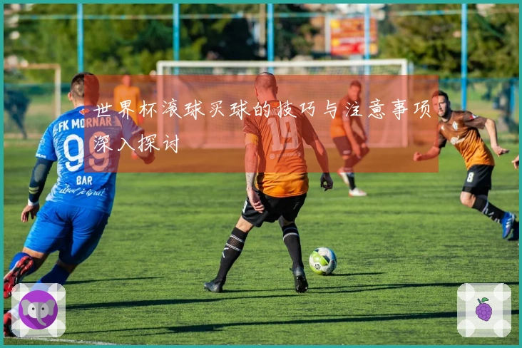 世界杯滚球买球的技巧与注意事项深入探讨
