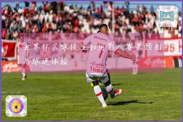 世界杯买球投注如何影响赛果预测与球迷体验