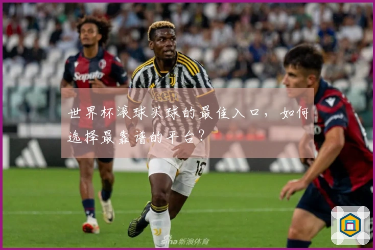 世界杯滚球买球的最佳入口，如何选择最靠谱的平台？